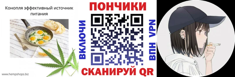 Canna-Cookies конопля  Купить закладки  Гудермес 