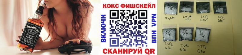 Купить закладки  Гудермес  COCAIN Columbia 