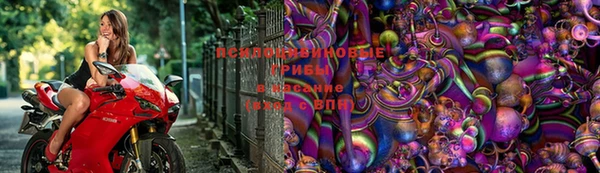 кокс Корсаков